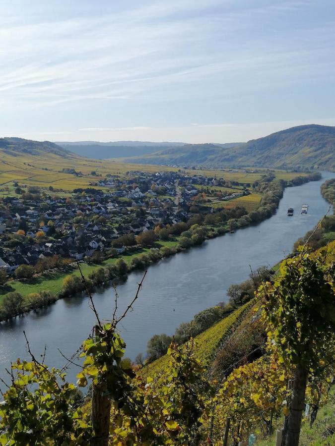 Weingut Licht-Stadtfeld Brauneberg Eksteriør billede