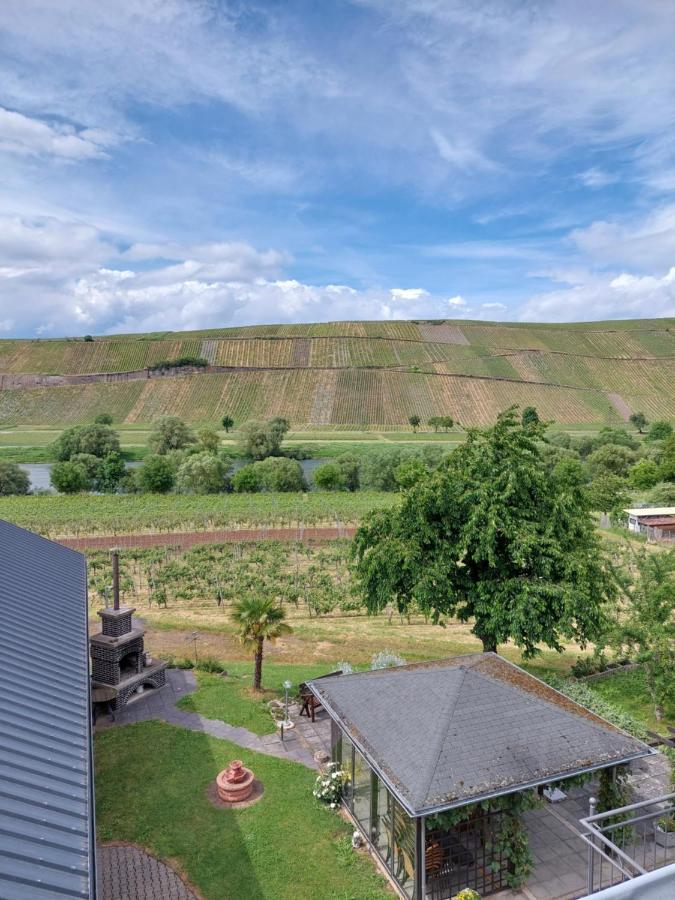 Weingut Licht-Stadtfeld Brauneberg Eksteriør billede